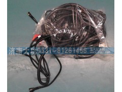 VG1238090102,發(fā)動(dòng)機(jī)線束,濟(jì)南大功汽車配件有限公司