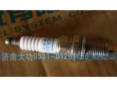 VG1560080701,火花塞 T10,濟(jì)南大功汽車(chē)配件有限公司