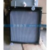 帶膨脹水箱散熱器總成 BZ53717300269