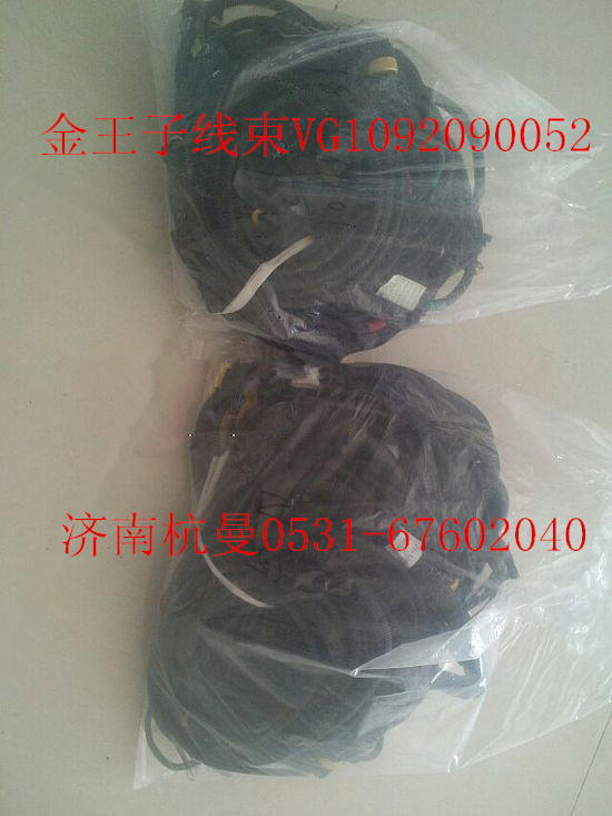 VG1092090052,金王子線束,濟南杭曼汽車配件有限公司