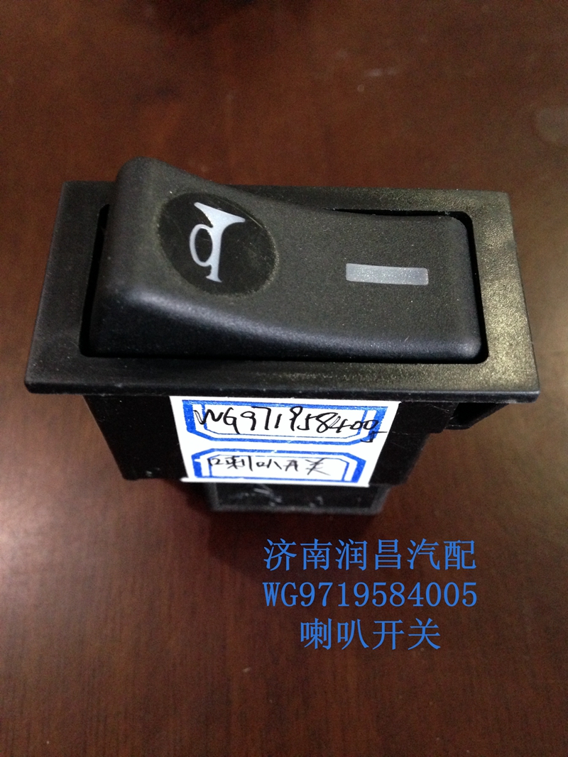 喇叭開(kāi)關(guān)WG9719584005/WG9719584005