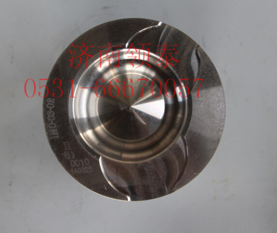 612630030010,活塞,濟(jì)南領(lǐng)泰（原玉華）汽車零部件有限公司