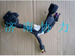 VG1034121021,泵體內(nèi)線束,濟(jì)南明鉅汽車配件有限公司（原濟(jì)南協(xié)力）