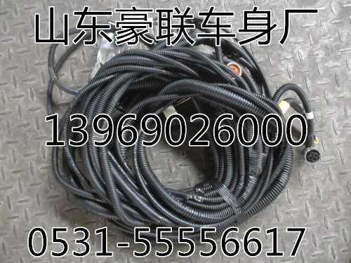 DZ91259775608,底盤線束,山東豪聯(lián)車身制造廠