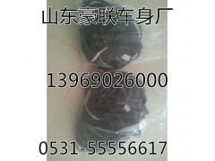 ,重汽天然氣發(fā)動機線束,山東豪聯(lián)車身制造廠