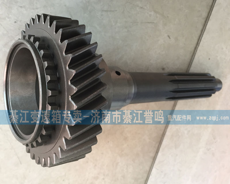 2159302059,一軸,綦江變速箱專賣-濟南市綦江譽鳴汽配商行