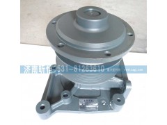 612600061603,濰柴發(fā)動機水泵總成,濟南昕愷汽車配件有限公司（濟南宏偉泵業(yè)）