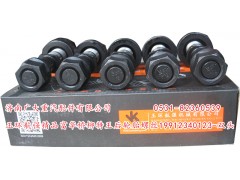 19912340123-雙頭,玉環(huán)航強精品富華橋柳特王后輪胎螺絲,濟(jì)南鑫巨鼎汽車配件有限公司