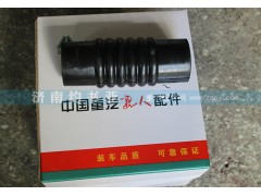 DZ9118530005,水箱下水管德龍F(tuán)2000,濟(jì)南約書亞汽車配件有限公司（原華魯信業(yè)）
