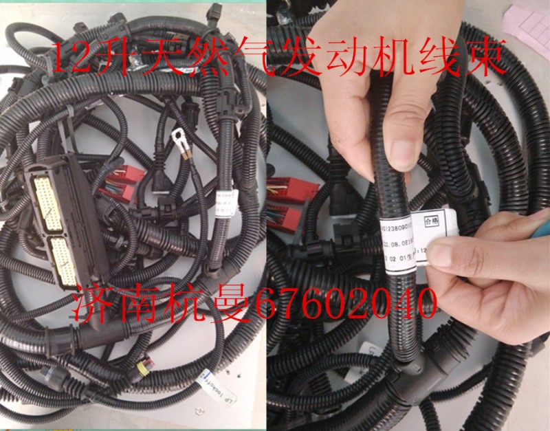 VG1238090101,12升發(fā)動機線束,濟南杭曼汽車配件有限公司