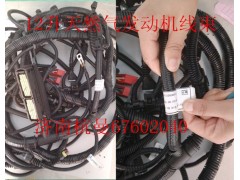 VG1238090101,12升發(fā)動機線束,濟南杭曼汽車配件有限公司