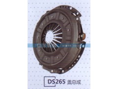 ,DS265蓋總成,山東銅獅汽車零部件有限公司