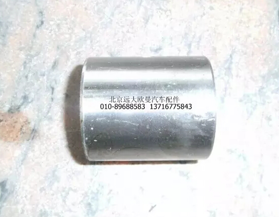 30Z01-01019,轉(zhuǎn)向節(jié)襯套（上）,北京遠(yuǎn)大歐曼汽車配件有限公司