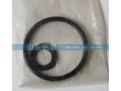 A-C09016-1B,,山東銅獅汽車(chē)零部件有限公司
