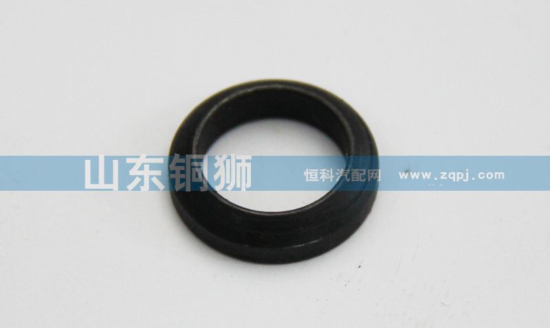 VG1540080024,,山東銅獅汽車(chē)零部件有限公司