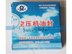 90003070092,空壓機(jī)油封,山東銅獅汽車(chē)零部件有限公司
