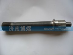 HFF2502071CK2BZ,貫通軸,濟(jì)南博煜歐曼專賣
