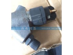 612600080611,噴油器總成P10電噴,濟南路泰汽配有限公司