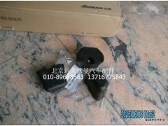 1110829200006,前鋼板限位塊,北京遠(yuǎn)大歐曼汽車配件有限公司