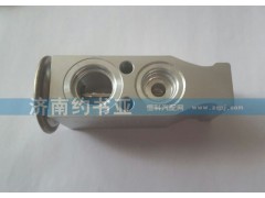 DZ13241821115,膨脹閥,濟南約書亞汽車配件有限公司（原華魯信業(yè)）