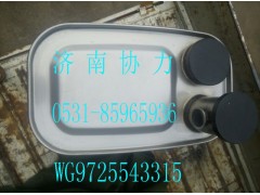 WG9725543315,MC07國Ⅳ消聲器,濟(jì)南明鉅汽車配件有限公司（原濟(jì)南協(xié)力）