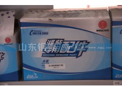 612600062192,濰柴動力專用配件水泵,山東銅獅汽車零部件有限公司