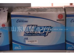 612600062192,濰柴動力專用配件水泵,山東銅獅汽車零部件有限公司
