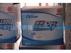 AZ500060050,濰柴動(dòng)力專(zhuān)用配件水泵,山東銅獅汽車(chē)零部件有限公司