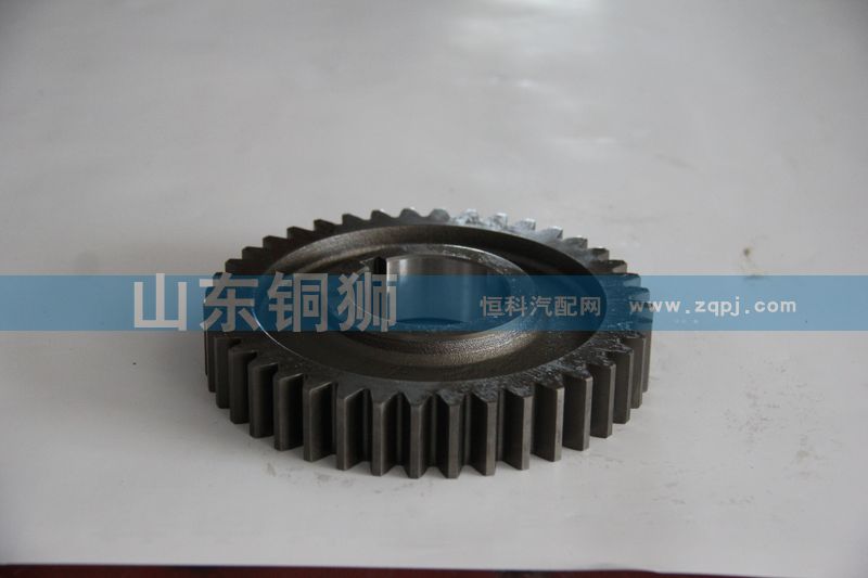19552,中間軸傳動(dòng)齒輪,山東銅獅汽車零部件有限公司