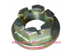 179000320013,斯太爾角齒螺母 貫通軸螺母,濟(jì)南鑫巨鼎汽車(chē)配件有限公司