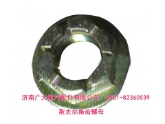 179000320013,斯太爾角齒螺母 貫通軸螺母,濟(jì)南鑫巨鼎汽車(chē)配件有限公司