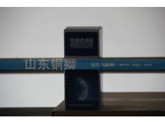 VG1560080012,飛宙濾芯柴油濾清器,山東銅獅汽車(chē)零部件有限公司