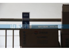 VG1560080012,飛宙濾芯柴油濾清器,山東銅獅汽車(chē)零部件有限公司