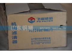 VG1246070002/1,飛宙濾芯機油濾清器,山東銅獅汽車零部件有限公司