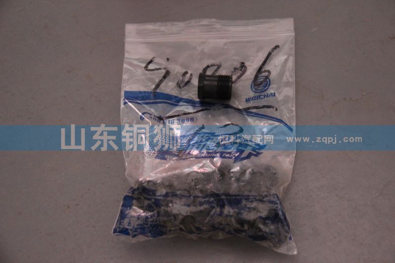 612630090006,高壓油管接頭螺母,山東銅獅汽車(chē)零部件有限公司