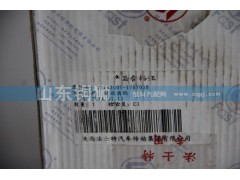 12JS200T-1701050,驅(qū)動齒輪,山東銅獅汽車零部件有限公司
