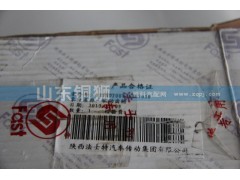 12JSD200T-1707030,驅(qū)動齒輪,山東銅獅汽車零部件有限公司