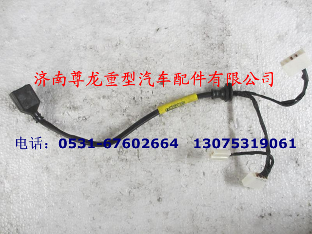 AZ9100773022,右組合后燈電線,濟(jì)南尊龍(原天盛)陜汽配件銷(xiāo)售有限公司