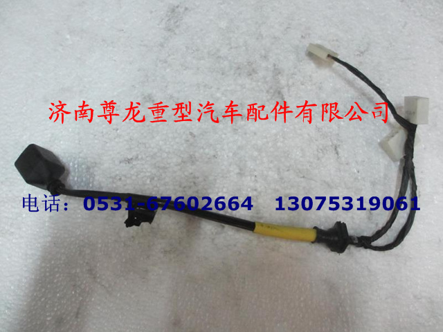 DZ9100773024,右組合后燈電線,濟(jì)南尊龍(原天盛)陜汽配件銷售有限公司