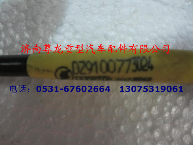 DZ9100773024,右組合后燈電線,濟(jì)南尊龍(原天盛)陜汽配件銷售有限公司