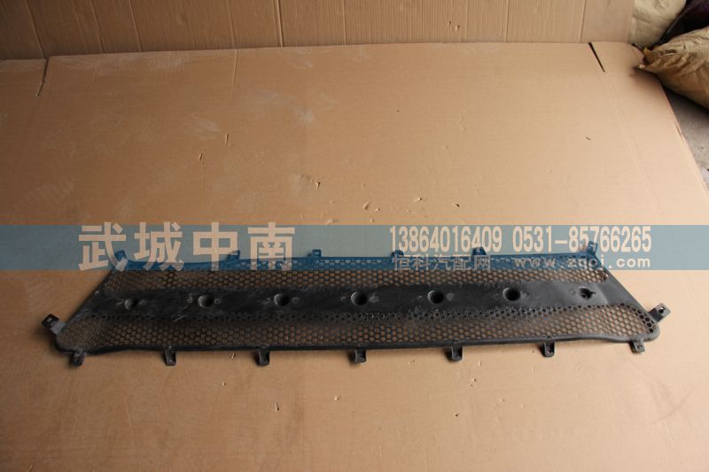 WG1664110061,前面罩網(wǎng)A7,濟南武城重型車外飾件廠