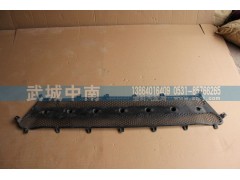 WG1664110061,前面罩網(wǎng)A7,濟南武城重型車外飾件廠