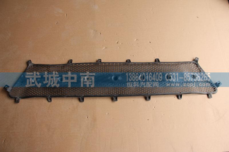 WG1664110061,前面罩網(wǎng)A7,濟南武城重型車外飾件廠