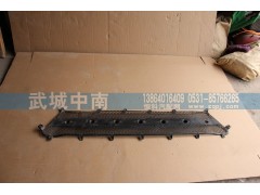 WG1664110061,前面罩網(wǎng)A7,濟南武城重型車外飾件廠