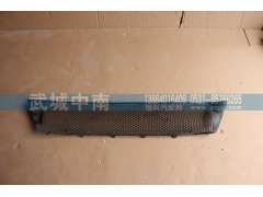 WG1664242009,保險杠裝飾網(wǎng)I（上部用的）T7,濟(jì)南武城重型車外飾件廠