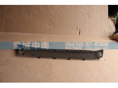WG1664242009,保險杠裝飾網(wǎng)I（上部用的）T7,濟(jì)南武城重型車外飾件廠