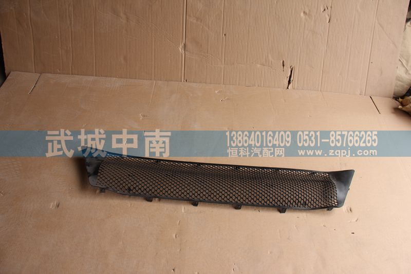 WG1664242009,保險杠裝飾網(wǎng)I（上部用的）T7,濟(jì)南武城重型車外飾件廠