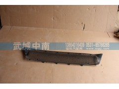 WG1664242009,保險杠裝飾網(wǎng)I（上部用的）T7,濟(jì)南武城重型車外飾件廠
