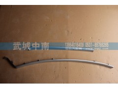 WG1664770003/4,雜物箱左右裝飾條A7,濟南武城重型車外飾件廠