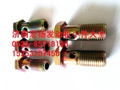 612600130333,M10潤滑油管空心螺栓,濟南耀順汽車配件有限公司（重汽、濰柴發(fā)動機小件專賣）